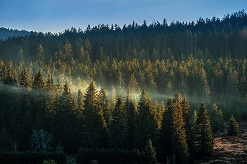 Horska Kvilda - Ubytovani U Chvalu Buitenkant foto