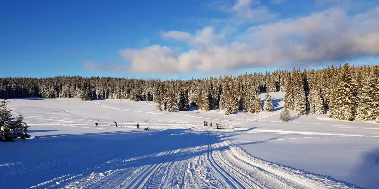 Horska Kvilda - Ubytovani U Chvalu Buitenkant foto