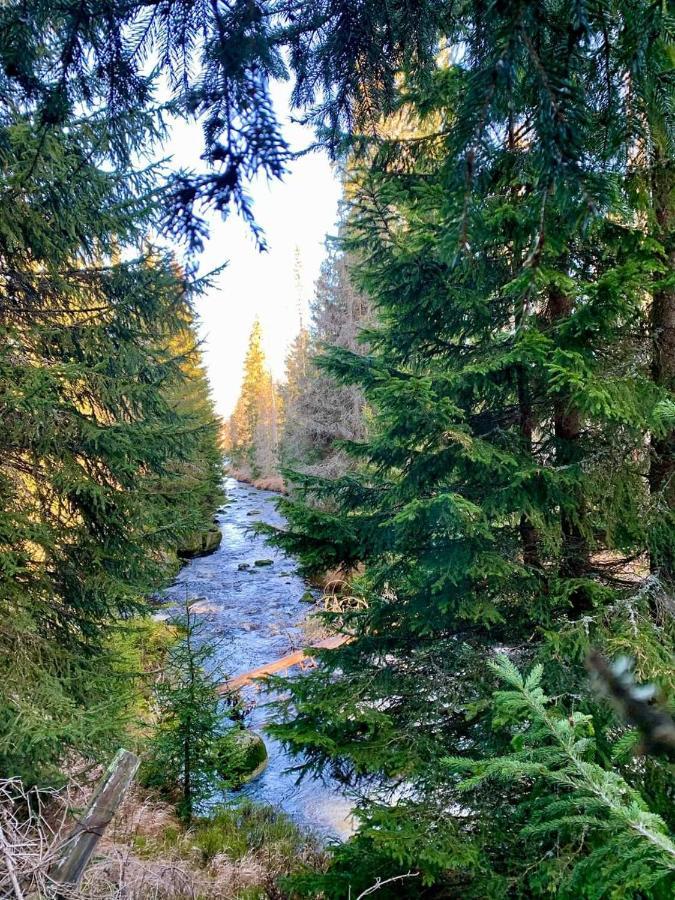 Horska Kvilda - Ubytovani U Chvalu Buitenkant foto