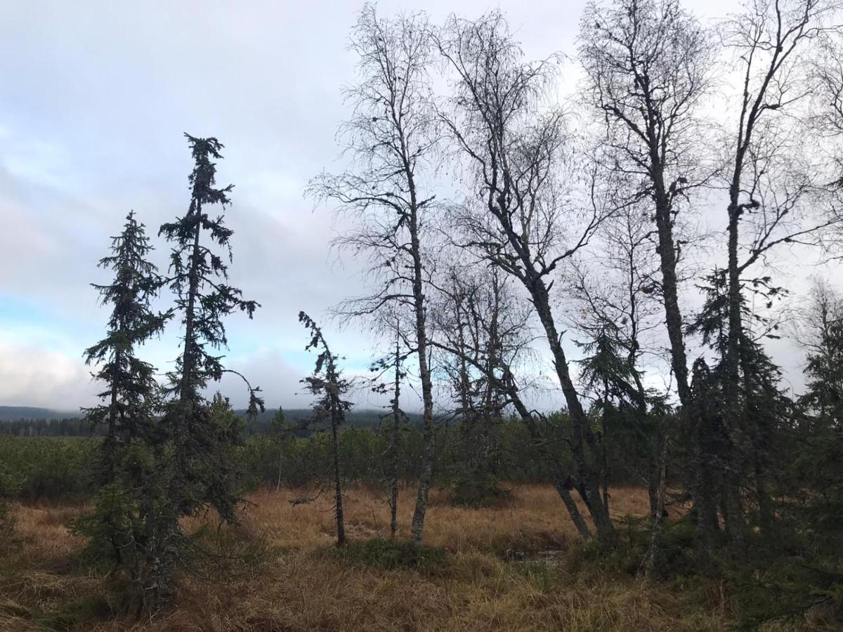 Horska Kvilda - Ubytovani U Chvalu Buitenkant foto