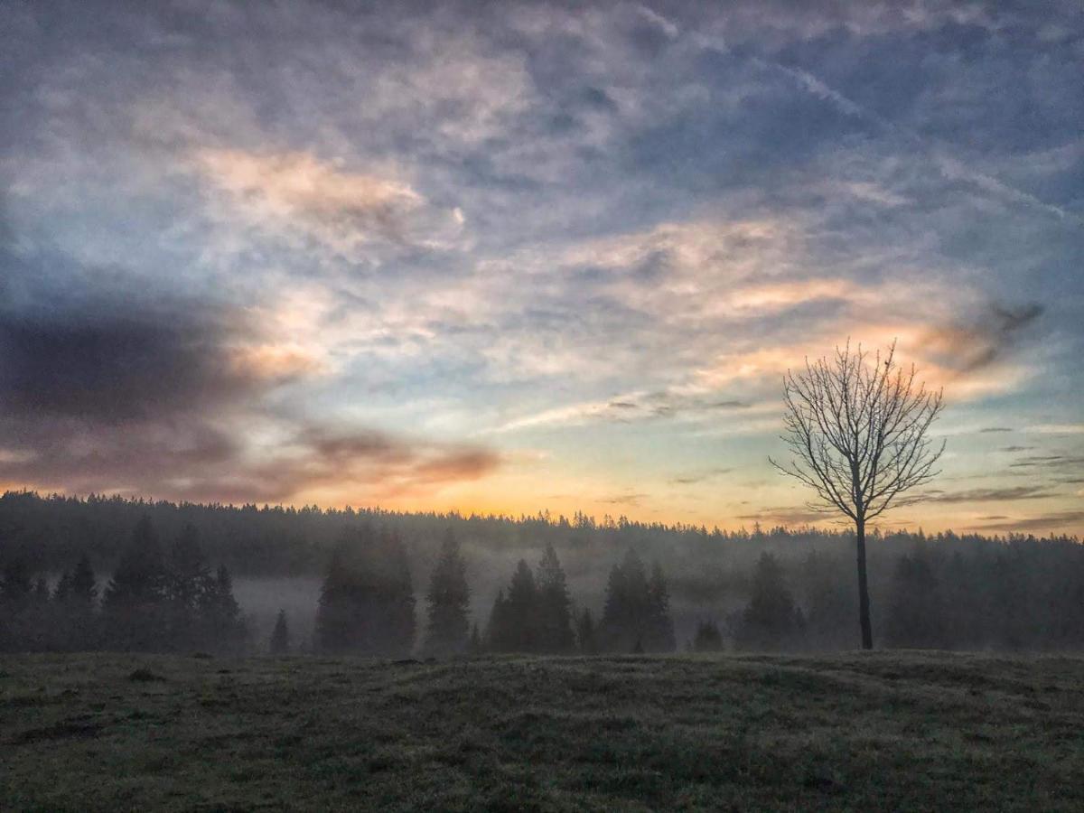 Horska Kvilda - Ubytovani U Chvalu Buitenkant foto
