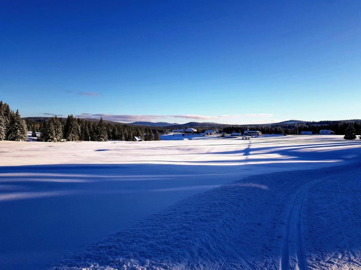 Horska Kvilda - Ubytovani U Chvalu Buitenkant foto