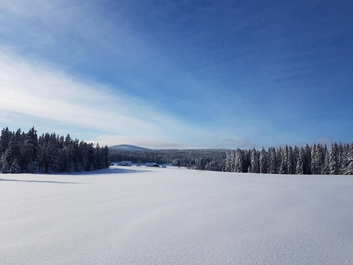 Horska Kvilda - Ubytovani U Chvalu Buitenkant foto