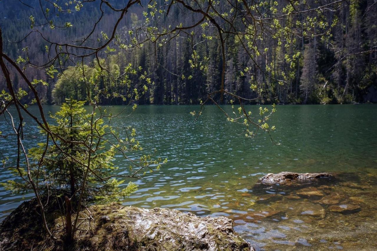 Horska Kvilda - Ubytovani U Chvalu Buitenkant foto