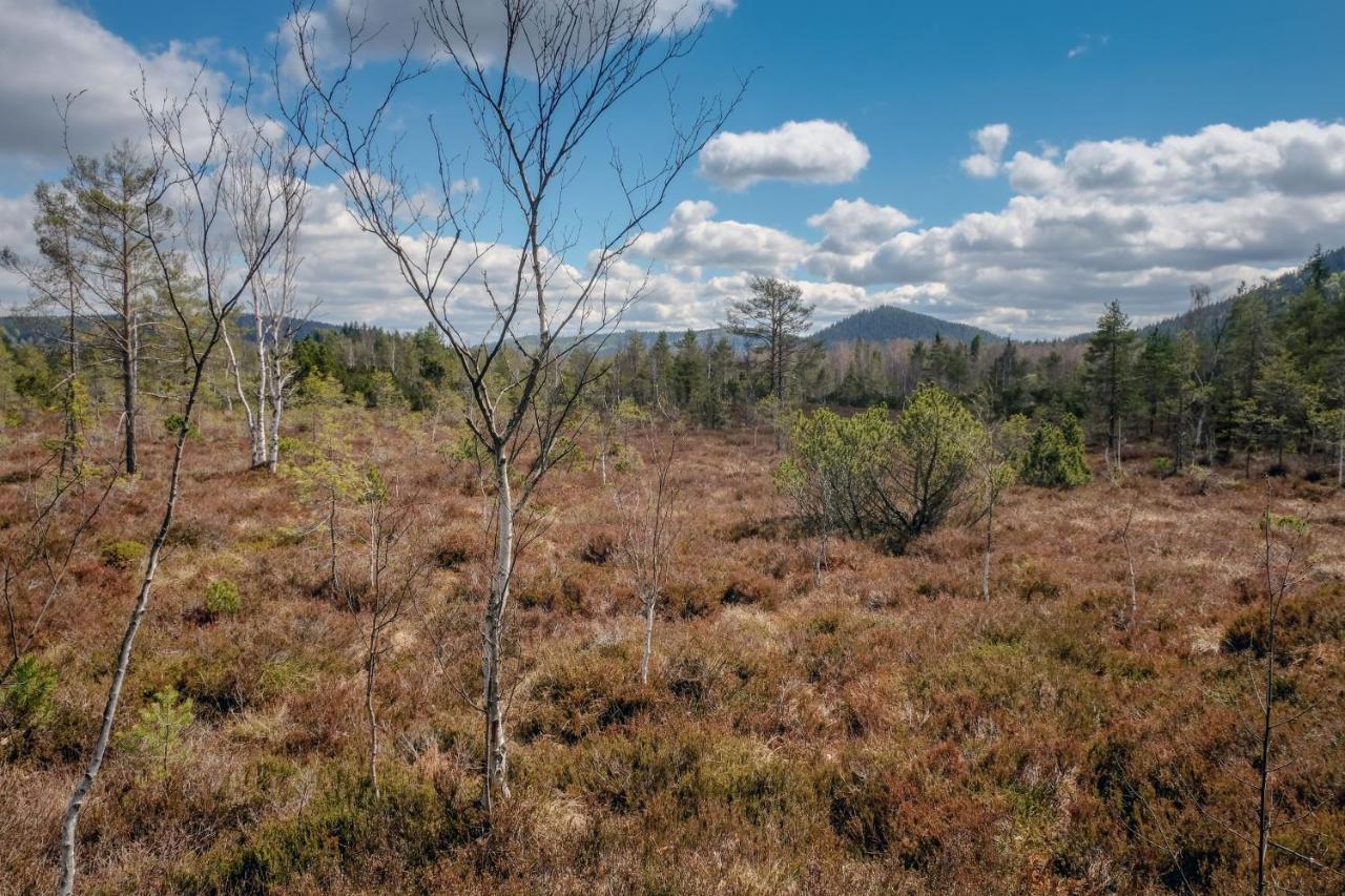 Horska Kvilda - Ubytovani U Chvalu Buitenkant foto