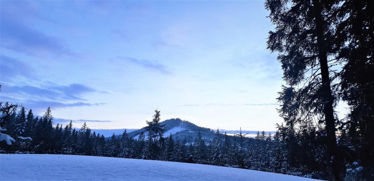 Horska Kvilda - Ubytovani U Chvalu Buitenkant foto