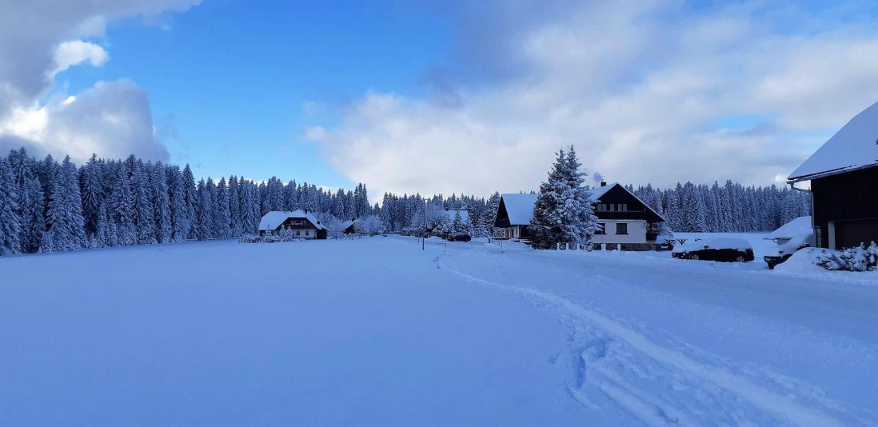 Horska Kvilda - Ubytovani U Chvalu Buitenkant foto