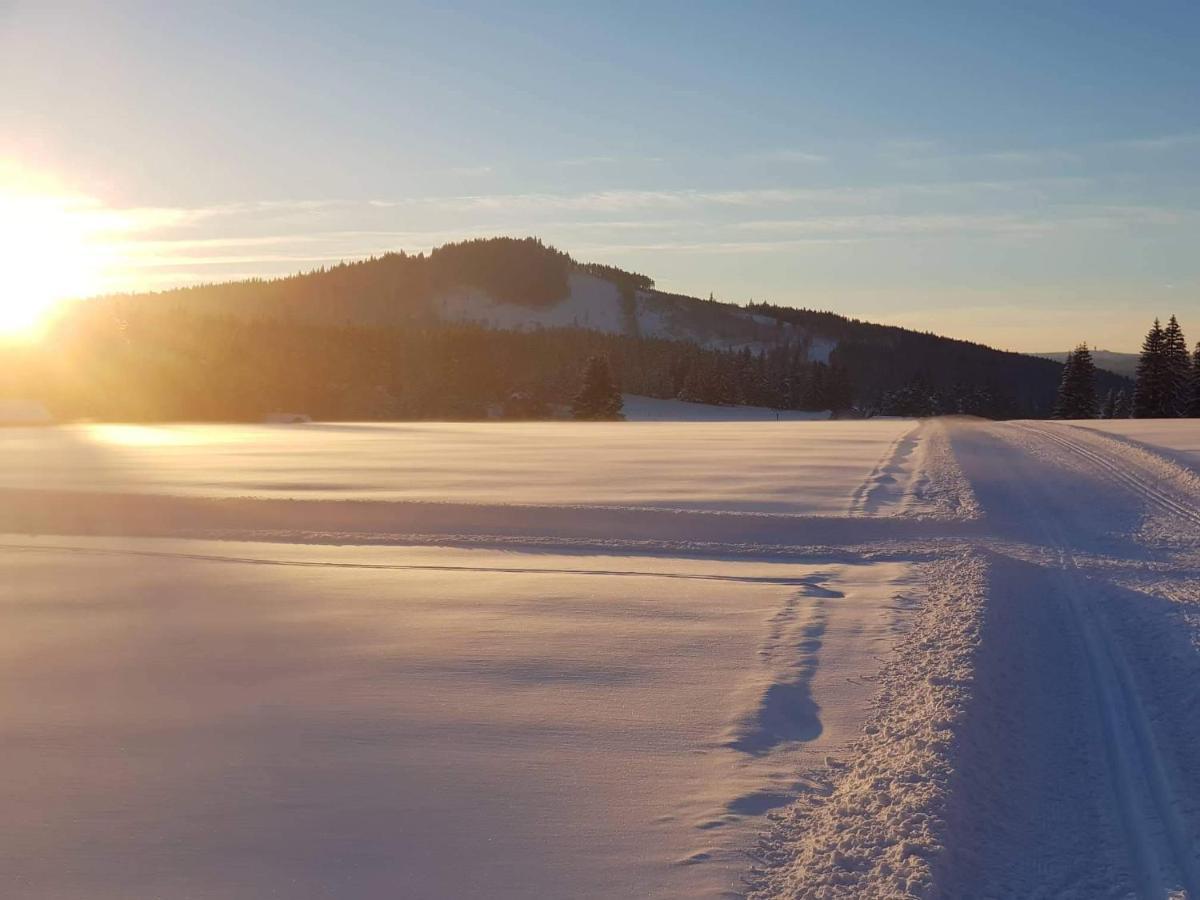 Horska Kvilda - Ubytovani U Chvalu Buitenkant foto