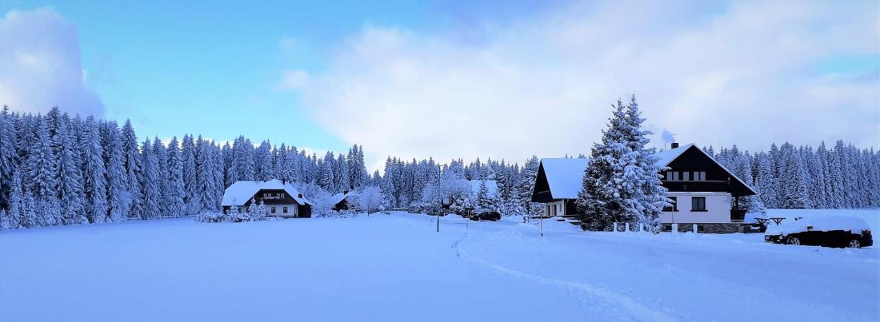 Horska Kvilda - Ubytovani U Chvalu Buitenkant foto