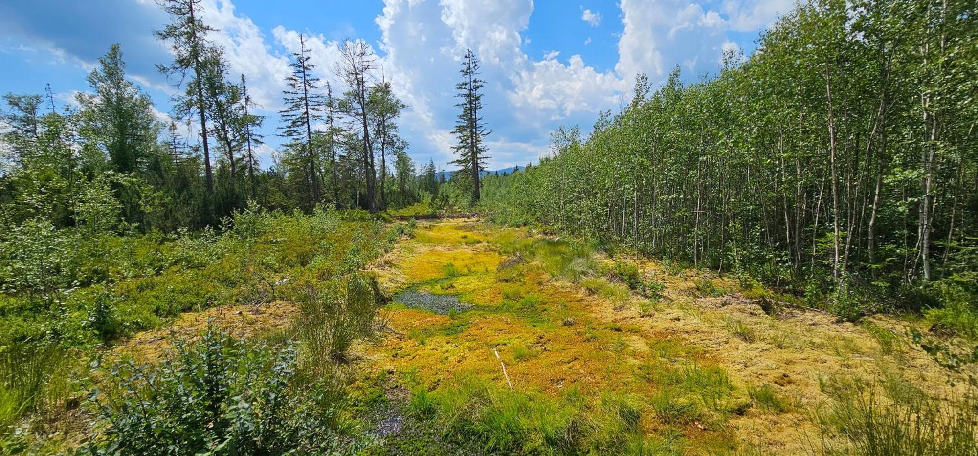 Horska Kvilda - Ubytovani U Chvalu Buitenkant foto
