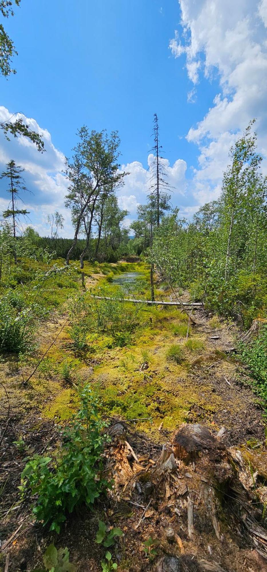 Horska Kvilda - Ubytovani U Chvalu Buitenkant foto