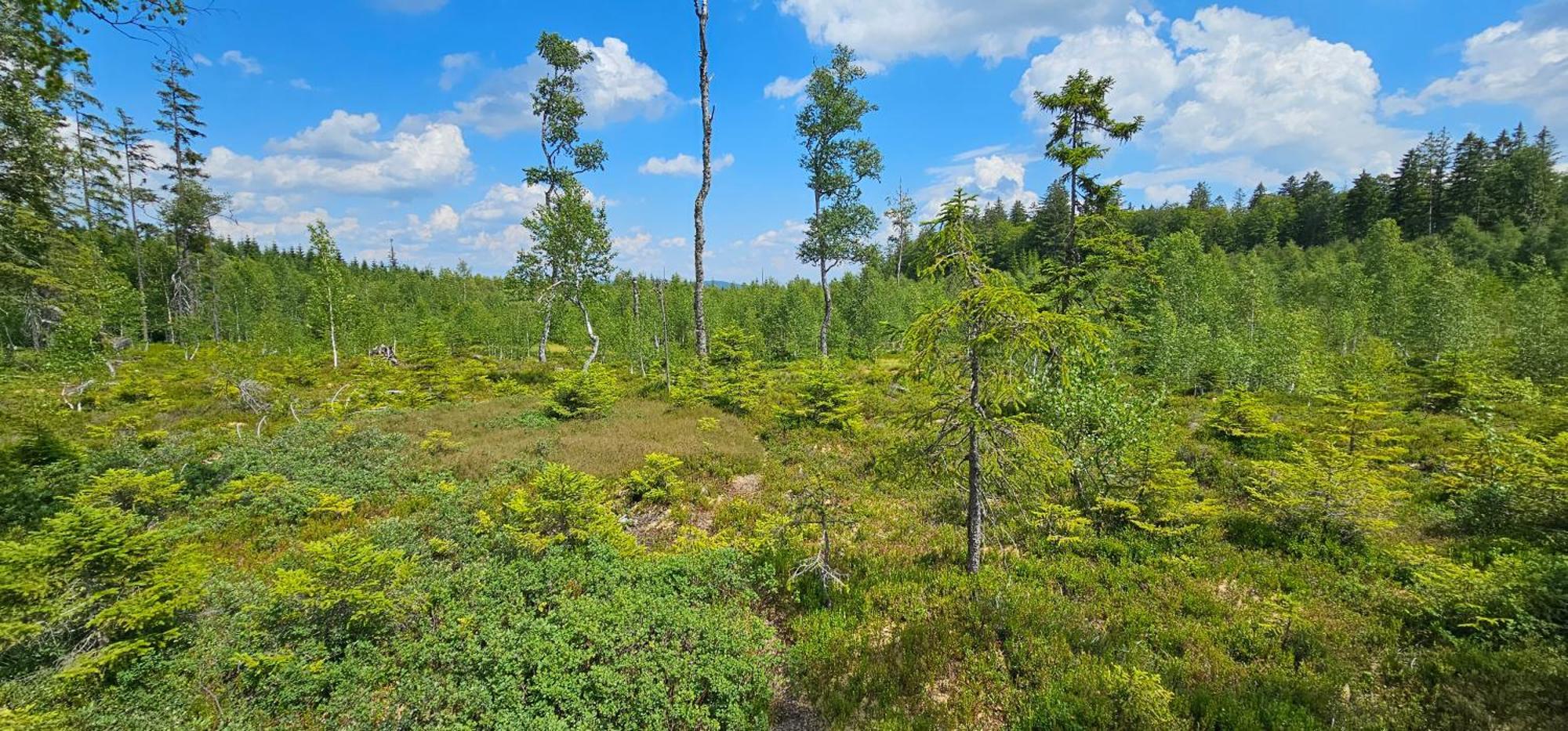 Horska Kvilda - Ubytovani U Chvalu Buitenkant foto