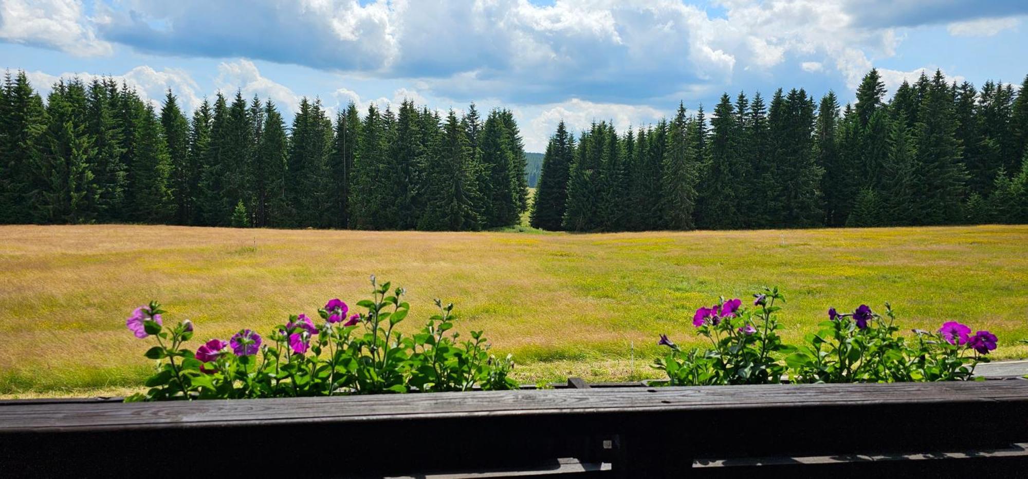 Horska Kvilda - Ubytovani U Chvalu Buitenkant foto