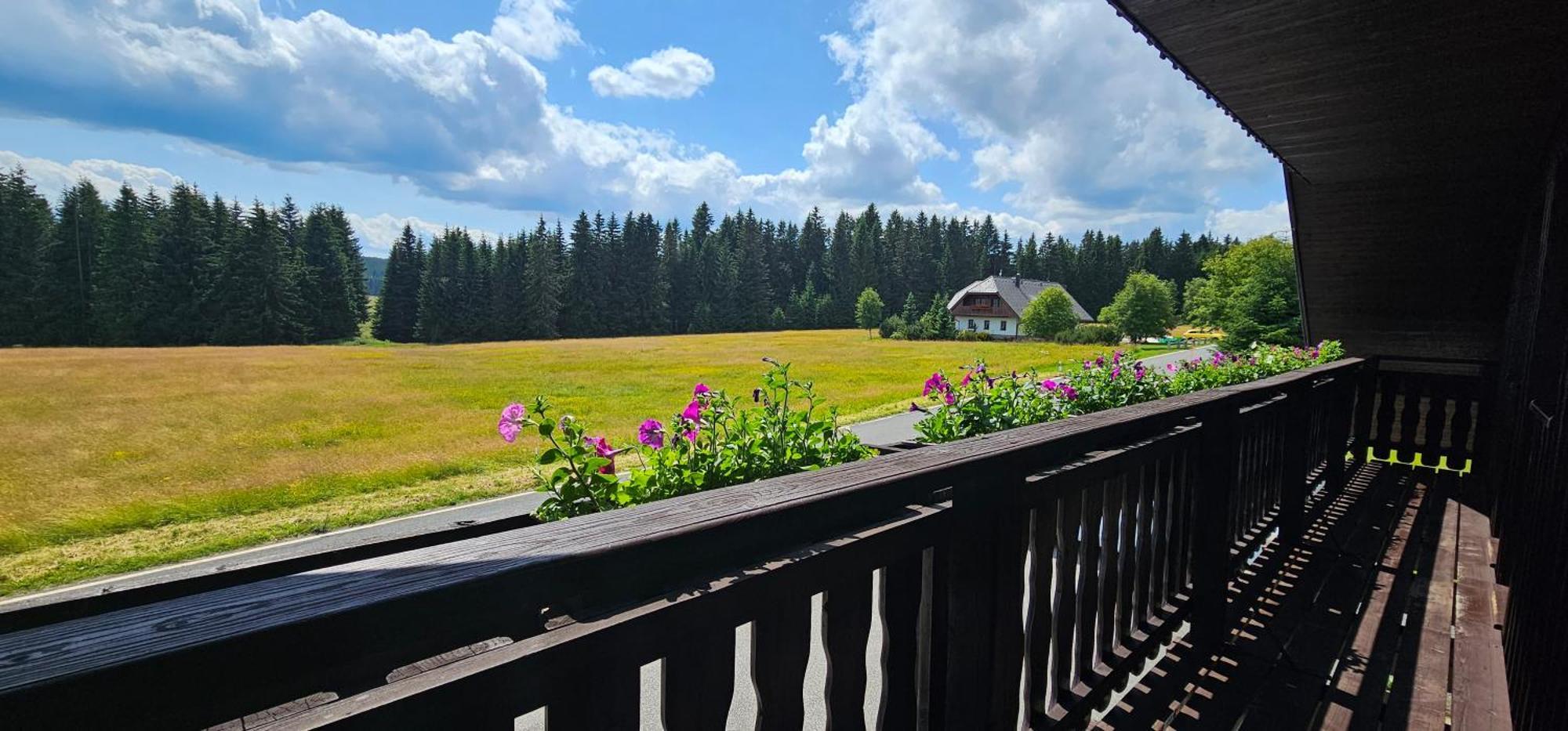 Horska Kvilda - Ubytovani U Chvalu Buitenkant foto